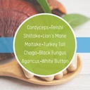 daily-health-10-mushroom-blend-complex-6-3.jpg