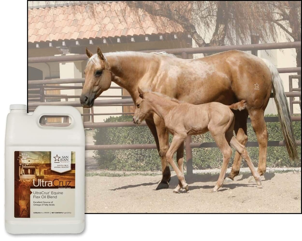 ultracruz-equine-flax-oil-blend-4-x-1-ga-2.jpg