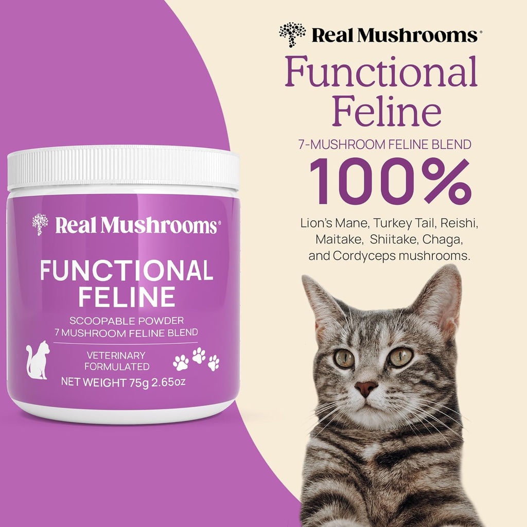 real-mushrooms-cat-supplement-powder-org-2.jpg