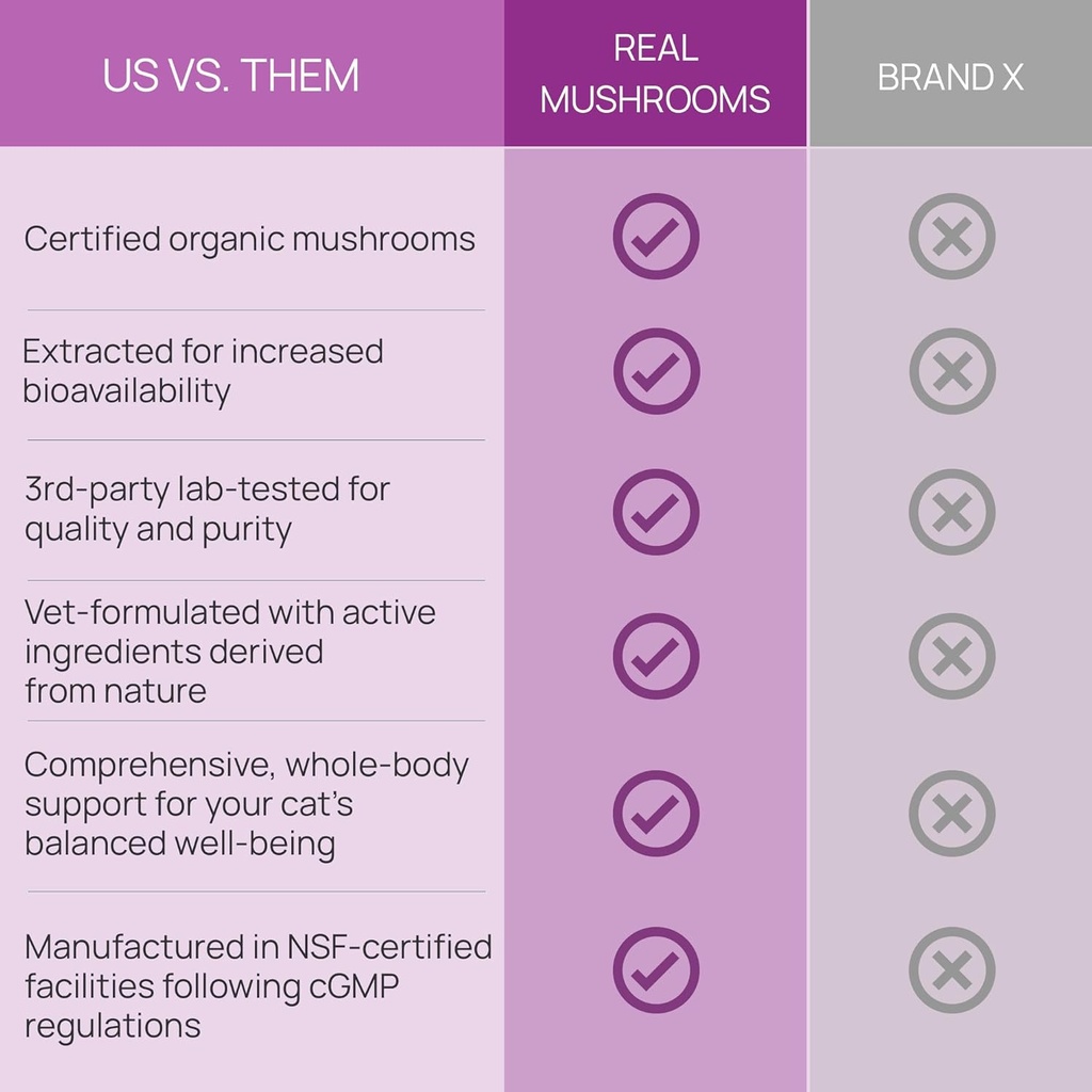 real-mushrooms-cat-supplement-powder-org-5.jpg