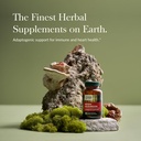 gaia-herbs-reishi-mushroom---helps-maint-2.jpg
