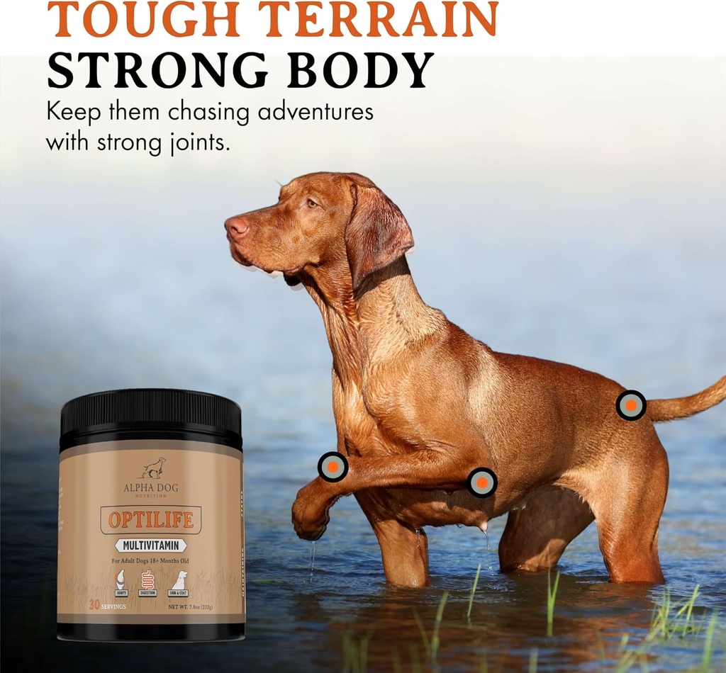 optilife-dog-multivitamin-powder---adult-3.jpg