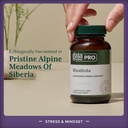 gaia-herbs-pro-rhodiola---energy-support-3.jpg