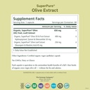pure-synergy-superpure-olive-extract-org-2.jpg