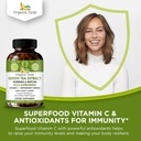 organic-veda-green-tea-extract-ecgc-caps-6.jpg