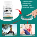 liposomal-ampk-activator-2000-mg---high--2.jpg