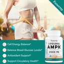 liposomal-ampk-activator-2000-mg---high--3.jpg
