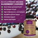 pomona-wellness-elderberry-gummies-with--2.jpg