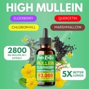 5-in-1-mullein-chlorophyll-drops-for-lun-2.jpg