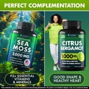 citrus-bergamot-sea-moss-capsules-bundle-3.jpg