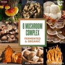 zhou-mushroom-8-plex---mushroom-suppleme-4.jpg