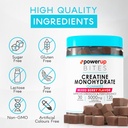 creatine-monohydrate-gummies-for-men-wom-5.jpg