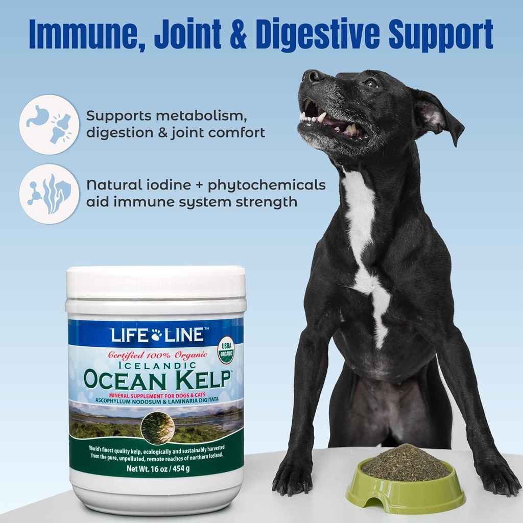 life-line-usda-certified-organic-ocean-k-4.jpg