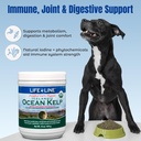 life-line-usda-certified-organic-ocean-k-4.jpg
