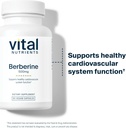 vital-nutrients-berberine-supports-bowel-6.jpg