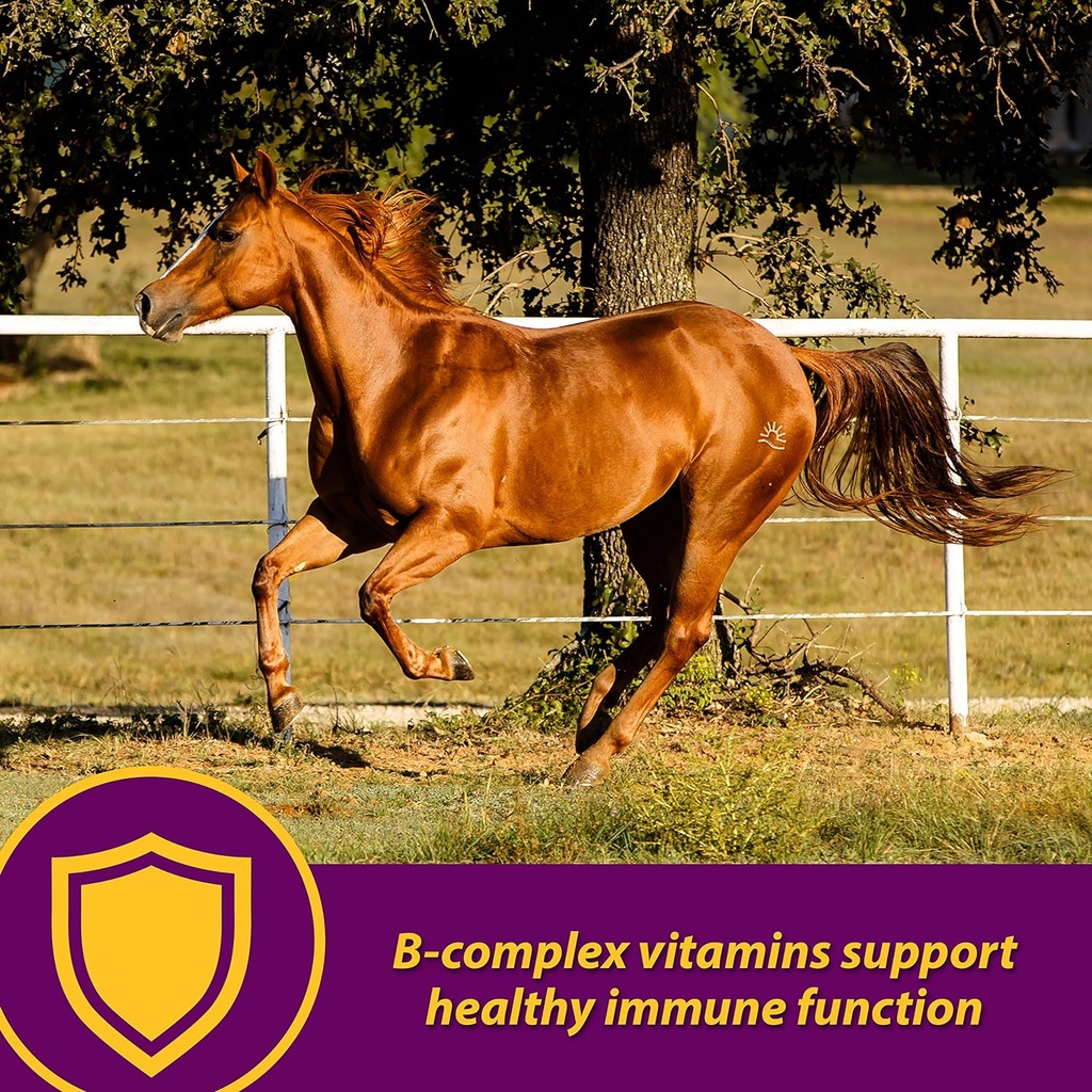 farnam-horse-health-red-cell-pellets-vit-3.jpg
