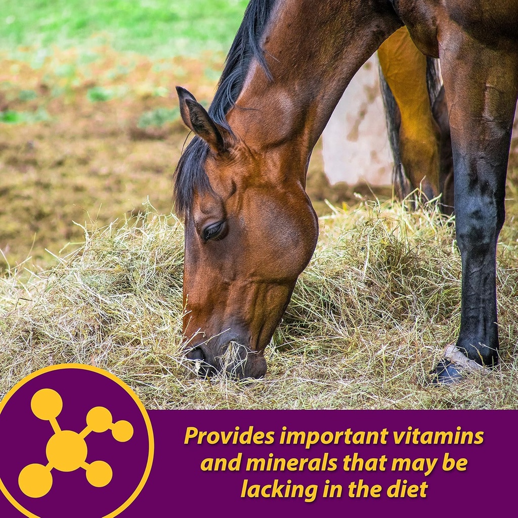 farnam-horse-health-red-cell-pellets-vit-4.jpg