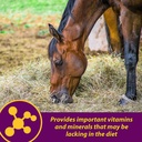 farnam-horse-health-red-cell-pellets-vit-4.jpg