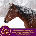 farnam-horse-health-red-cell-pellets-vit-6.jpg