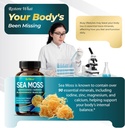 grimed-premium-sea-moss-301-extract-1610-3.jpg