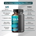 grimed-premium-sea-moss-301-extract-1610-6.jpg