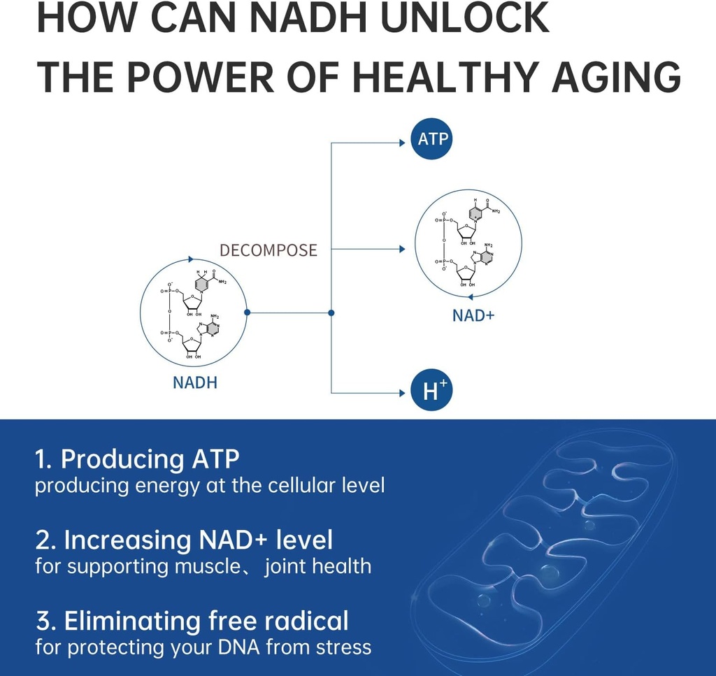 celfull-40mg-nadh-immune-support-supplem-5.jpg