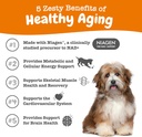 zesty-paws-nad-precursor-supplement-for--2.jpg
