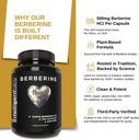 intelligent-labs-berberine-hcl-plus-max--3.jpg