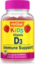 wellyeah-vitamin-d3-kids-b-complex-kids--2.jpg