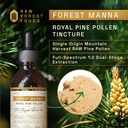 raw-forest-foods-forest-manna-royal-pine-4.jpg