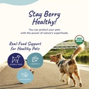 kinkind-pet-vitamins-and-supplements---i-4.jpg