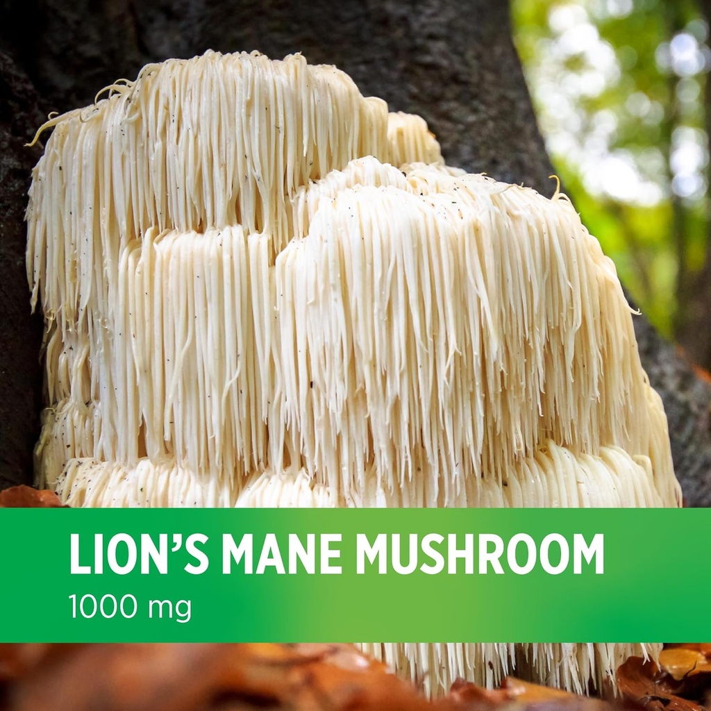 doctors-preferred-lions-mane-mushroom-su-6.jpg
