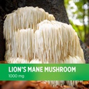 doctors-preferred-lions-mane-mushroom-su-6.jpg