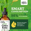 wild-organic-gotu-kola-extract-drops---b-4.jpg