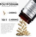 amalth-polypodium-leucotomos-extract-240-5.jpg