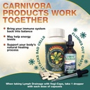 carnivora-triple-play---immune-system-su-5.jpg