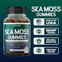 irish-sea-moss-gummies-3000mg-90-gummies-5.jpg