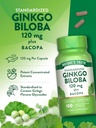 natures-truth-ginkgo-biloba-120mg-plus-b-5.jpg