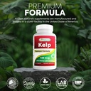 best-naturals-kelp-supplement-150-mcg-ta-5.jpg