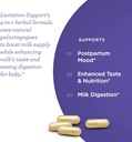 lactation-supplement-60-capsules-breastf-4.jpg