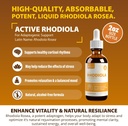 rejuvica-health-active-rhodiola---rhodio-3.jpg