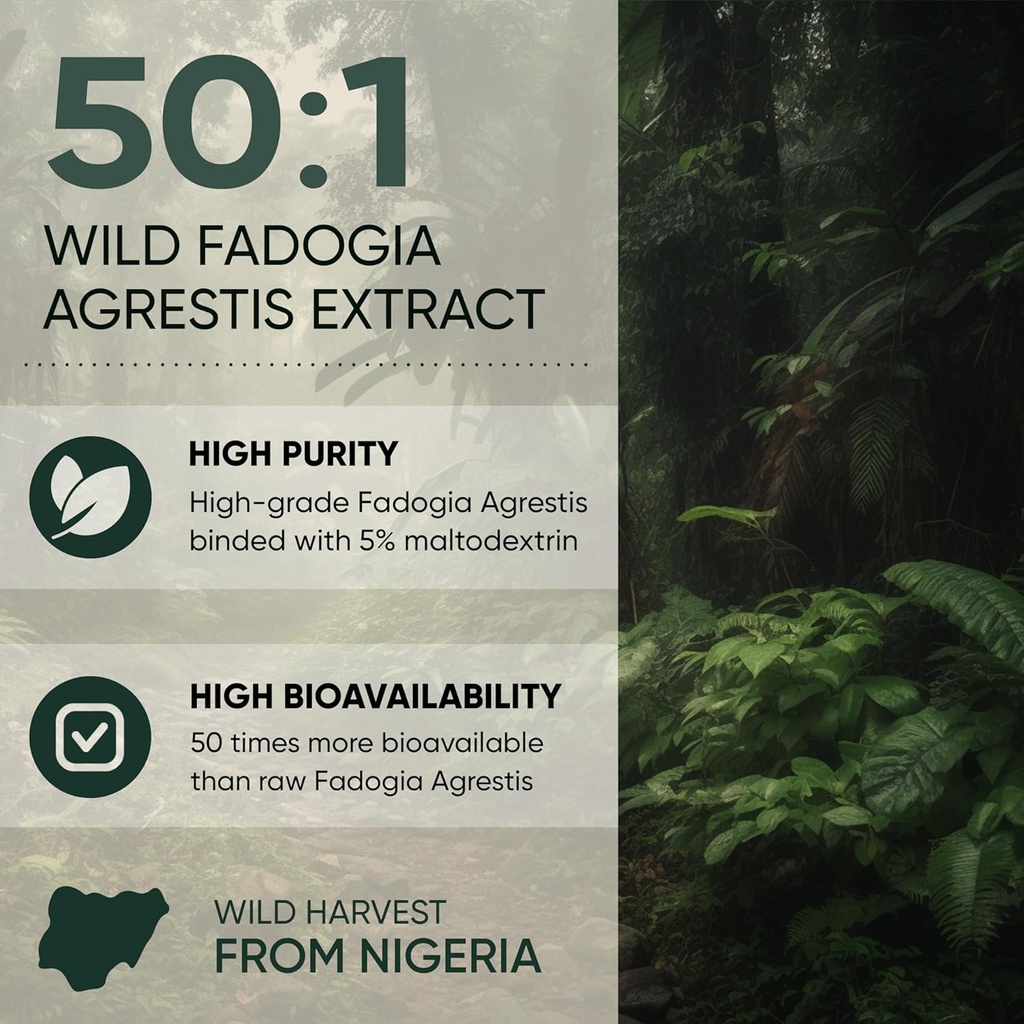 jungle-powders-fadogia-agrestis-extract--4.jpg