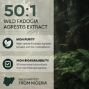 jungle-powders-fadogia-agrestis-extract--4.jpg
