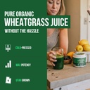 organic-wheatgrass-juice-powder---organi-2.jpg