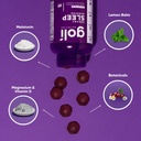 goli-dreamy-sleep-gummy---60-count-pack--3.jpg