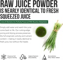 organic-wheatgrass-juice-powder---organi-3.jpg