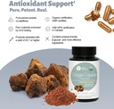 herbal-treasure-chaga-mushrooms-powder-c-2.jpg