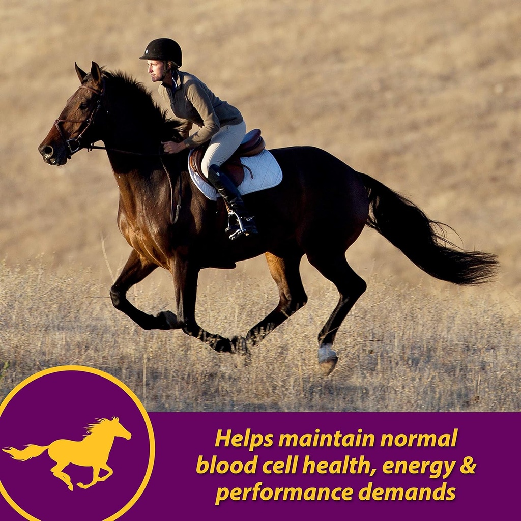 farnam-horse-health-red-cell-liquid-vita-2.jpg