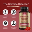 neuro-defense-bundle-berberine-resveratr-3.jpg