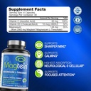 magtein-magnesium-l-threonate-to-improve-4.jpg